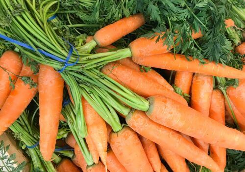 Botte de carottes bio sur un marché