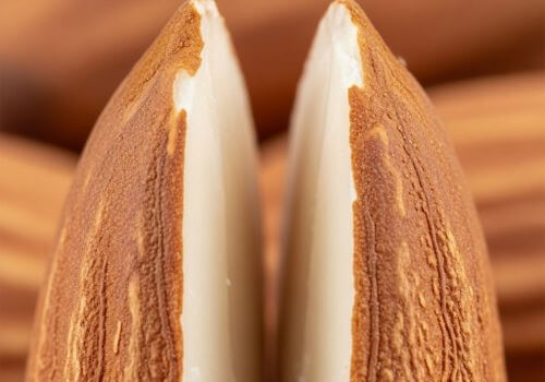 Gros plan d’une amande coupée en deux montrant sa texture interne