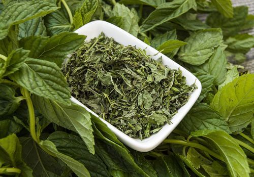 Menthe fraîche et menthe abîmée, comparatif visuel