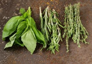 Protection Pour Plante Basilic 'Keep Dry And Clean' - Abri De Pluie Vertical Jaune Néon - Pour Balcon Ou Jardin - Neuf