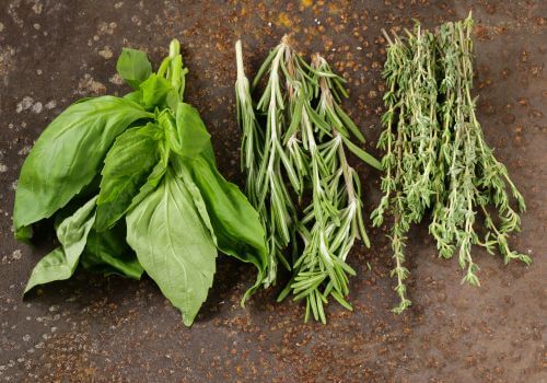 Varier les herbes pour une alimentation équilibrée