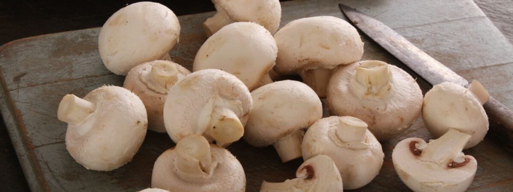 Comment cuire champignons de Paris